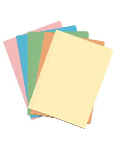 Dohe Pack de 50 Subpastas de Cartolina - Tamanho Folio - Ranhura para Fastener - Cores Claras Sortidas