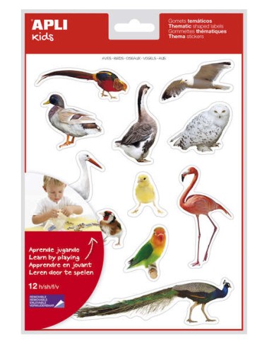 Apli Gomets Temáticos Realistas de Aves - 144 Gomets em 12 Folhas - Imagens Realistas para Relacionar Aves - Desenvolve Habilid