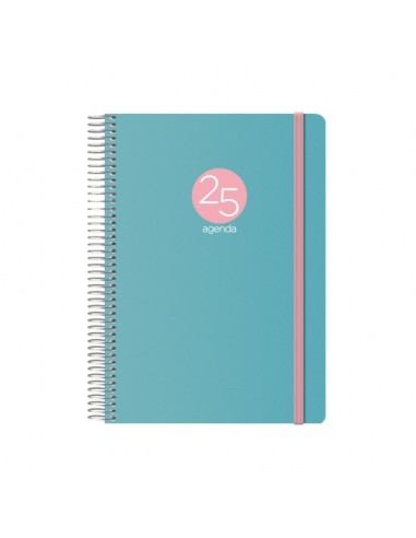 Agenda Anual Dohe Menphis - Dia Página - Capa de Plástico - Sábado e Domingo na mesma Página - Fecho com Elástico - Tamanho 15x