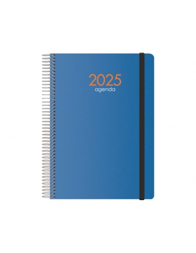 Dohe Syncro Agenda Anual - Dia Página - Capa de Plástico - Sábado e Domingo na mesma Página - Fecho com Elástico - Tamanho 15x2