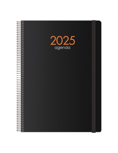 Agenda Anual Dohe Syncro - Dia Página - Capa de Plástico - Sábado e Domingo na Mesma Página - Fecho com Elástico - Tamanho 21x2