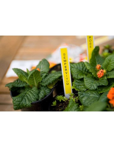 Fita Laminada Original Brother TZe631 para Etiquetas - Texto preto sobre fundo amarelo - Largura 12mm x 8 metros