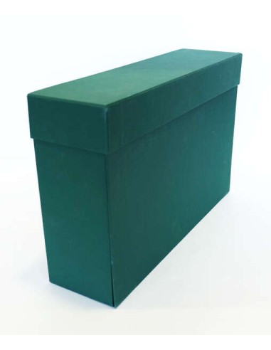 Elba Caixa de Transferência Resistente 39,6x25,4cm - Tampa com Fecho Seguro - Ideal para Arquivar Documentos - Resistente e Dur