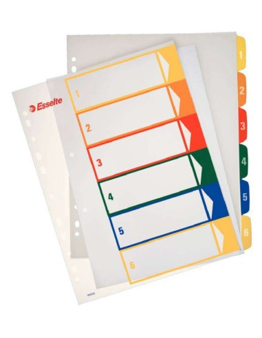 Esselte Índice Projetos Imprimíveis Tipo 1-6 Multicor - Tamanho A4 Maxi - Material PP Rígido 300 Micras, Capa 350 Micras