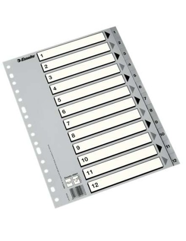 Esselte Índice Numérico de Plástico - Abas 1 a 12 - Multifuros - Formato A4 - Cor Cinza