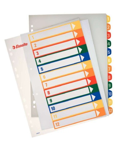 Esselte Índice para Projetos Imprimível A4 Maxi Tipo 1-12 Multicolor - Multifuros - Material PP Rígido 300 Micras, Capa 350 Mic