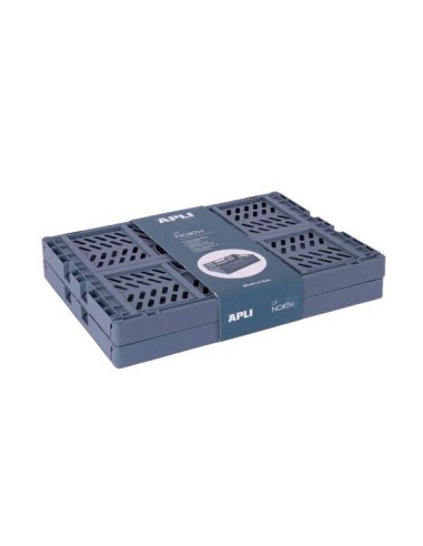 Apli Up North Pack de 2 Caixas de Plástico Dobráveis e Empilháveis - Tamanho 290x210x120mm - Ideal para Ferramentas, Brinquedos